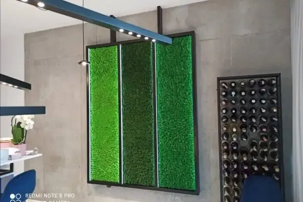 Zielone Odmiany Chrobotka w Tryptyku